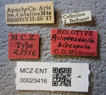 Media type: image;   Entomology 23416 Aspect: labels